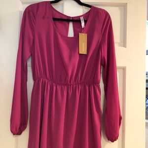 NWT Francesca’s dress